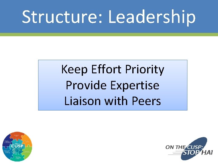 Structure: Leadership Keep Effort Priority Provide Expertise Liaison with Peers 35 