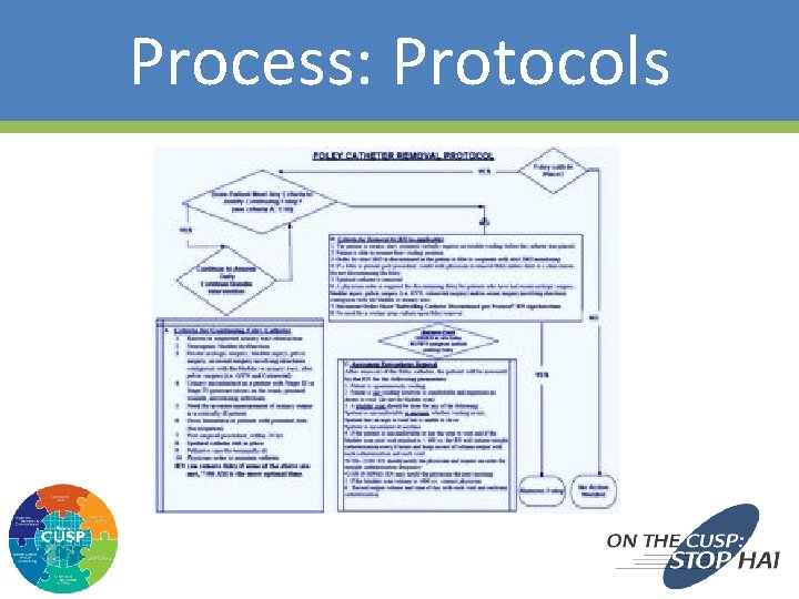 Process: Protocols 37 