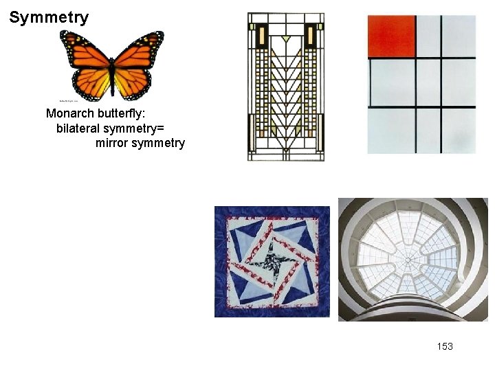 Symmetry Monarch butterfly: bilateral symmetry= mirror symmetry 153 