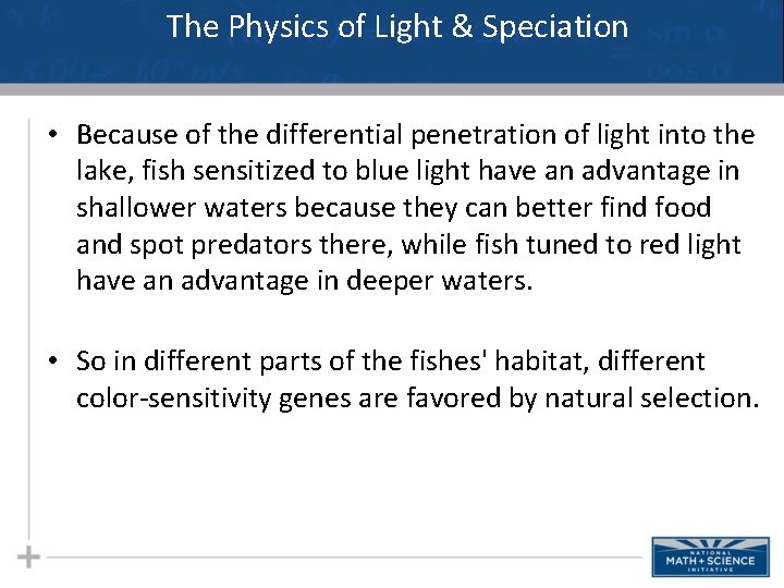 The Physics of Light & Speciation • Because of the differential penetration of light