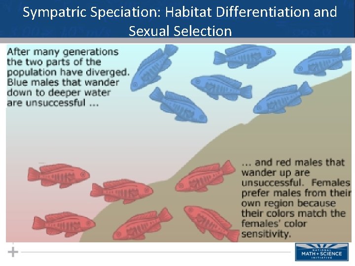 Sympatric Speciation: Habitat Differentiation and Sexual Selection 