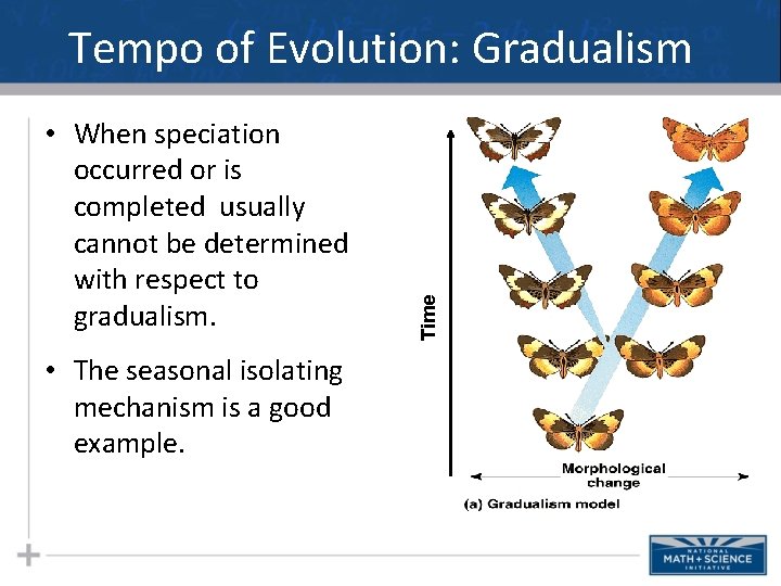  • When speciation occurred or is completed usually cannot be determined with respect