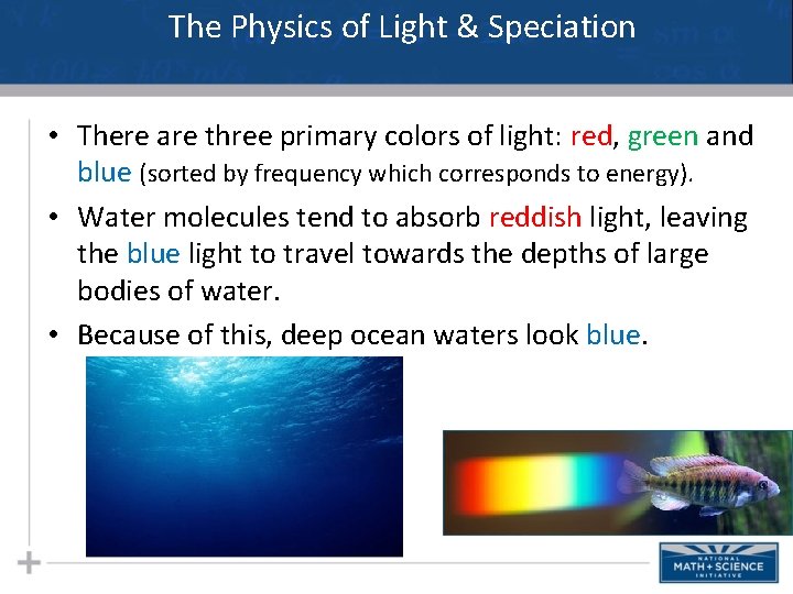 The Physics of Light & Speciation • There are three primary colors of light: