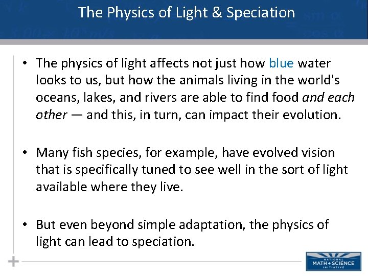 The Physics of Light & Speciation • The physics of light affects not just