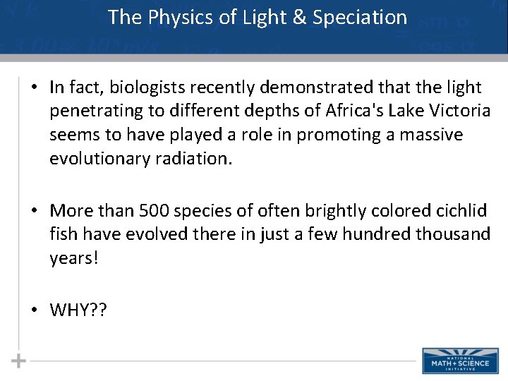 The Physics of Light & Speciation • In fact, biologists recently demonstrated that the