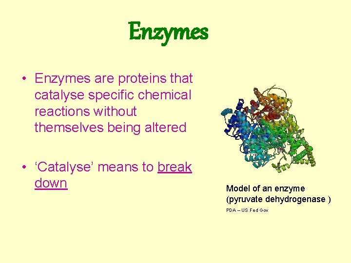 Enzymes • Enzymes are proteins that catalyse specific chemical reactions without themselves being altered