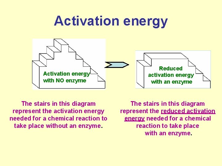 Activation energy with NO enzyme The stairs in this diagram represent the activation energy