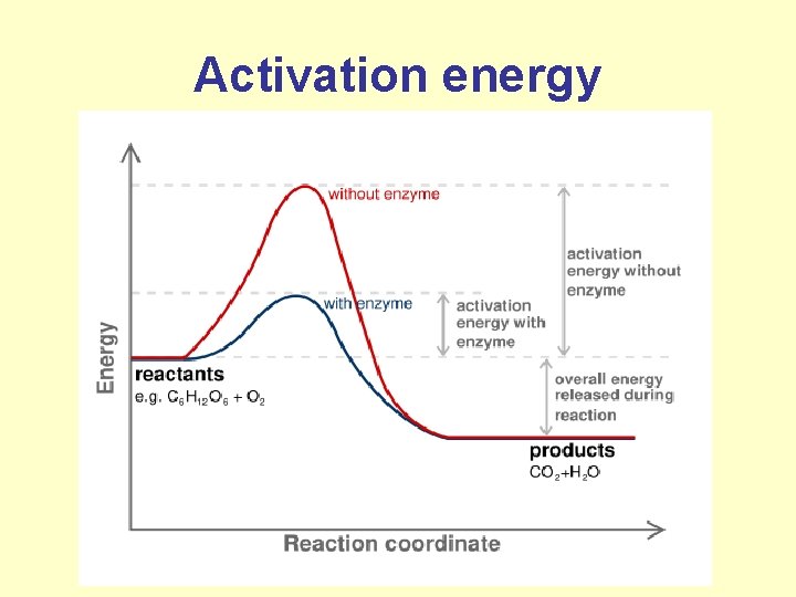 Activation energy 