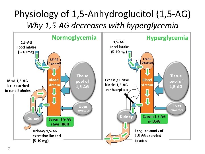 Physiology of 1, 5 -Anhydroglucitol (1, 5 -AG) Why 1, 5 -AG decreases with