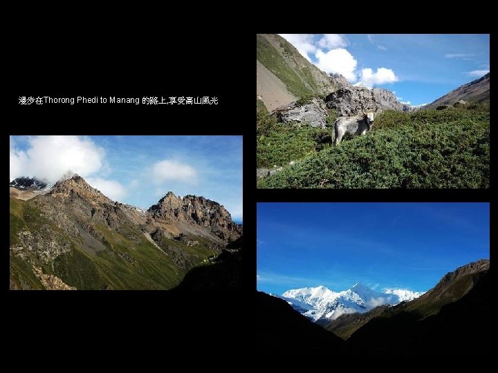 漫步在Thorong Phedi to Manang 的路上, 享受高山風光 