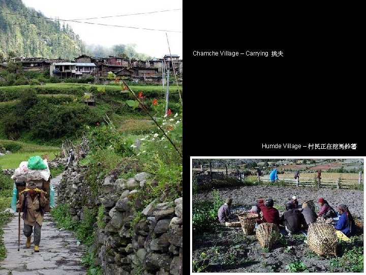 Chamche Village – Carrying 挑夫 Humde Village – 村民正在挖馬鈴薯 