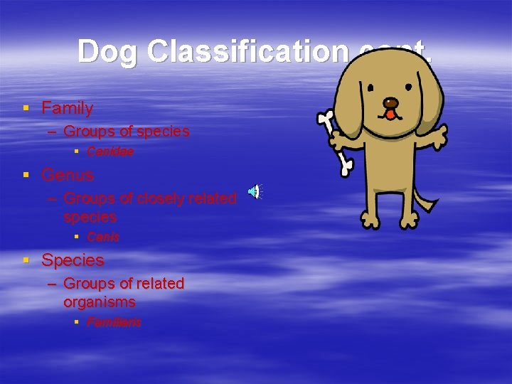 Dog Classification cont. § Family – Groups of species § Canidae § Genus –