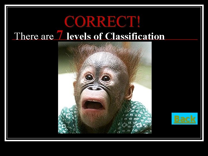 CORRECT! There are 7 levels of Classification Back 