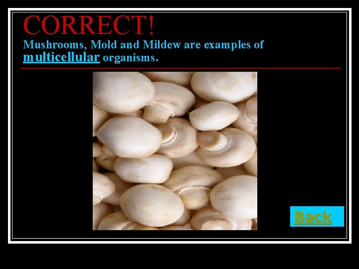 CORRECT! Mushrooms, Mold and Mildew are examples of multicellular organisms. Back 