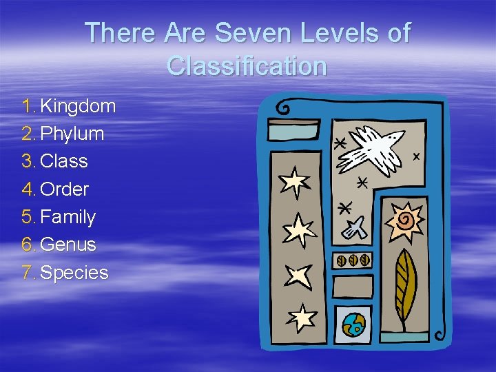 There Are Seven Levels of Classification 1. Kingdom 2. Phylum 3. Class 4. Order