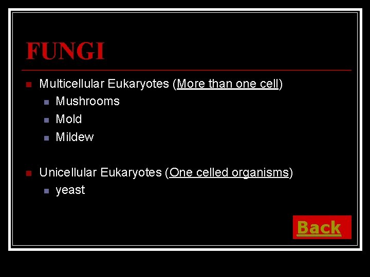 FUNGI n Multicellular Eukaryotes (More than one cell) n Mushrooms n Mold n Mildew