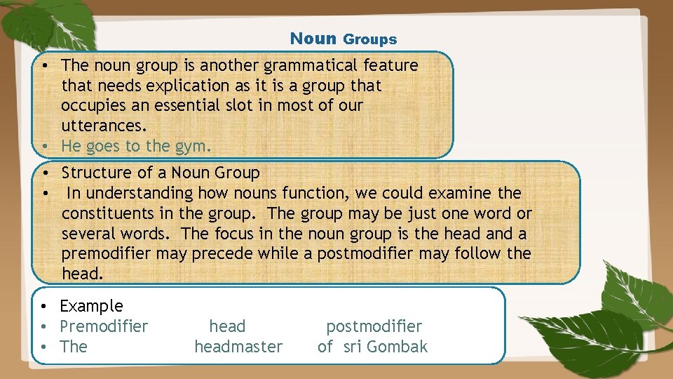 Noun Groups • The noun group is another grammatical feature that needs explication as