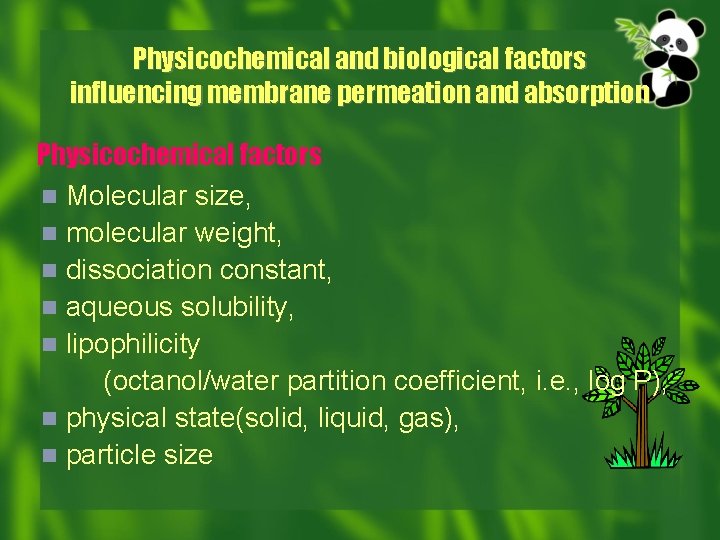 Physicochemical and biological factors influencing membrane permeation and absorption Physicochemical factors n Molecular size,