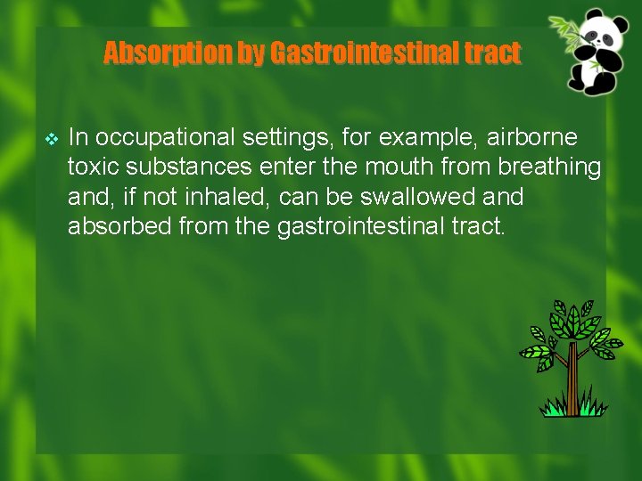 Absorption by Gastrointestinal tract v In occupational settings, for example, airborne toxic substances enter
