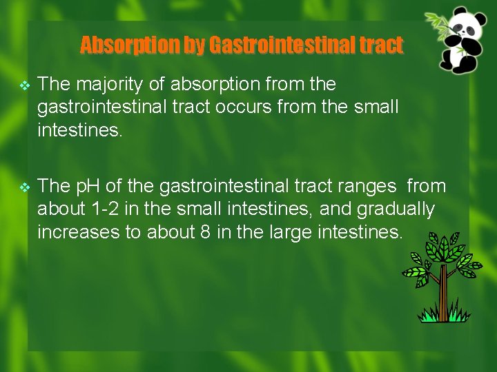 Absorption by Gastrointestinal tract v The majority of absorption from the gastrointestinal tract occurs