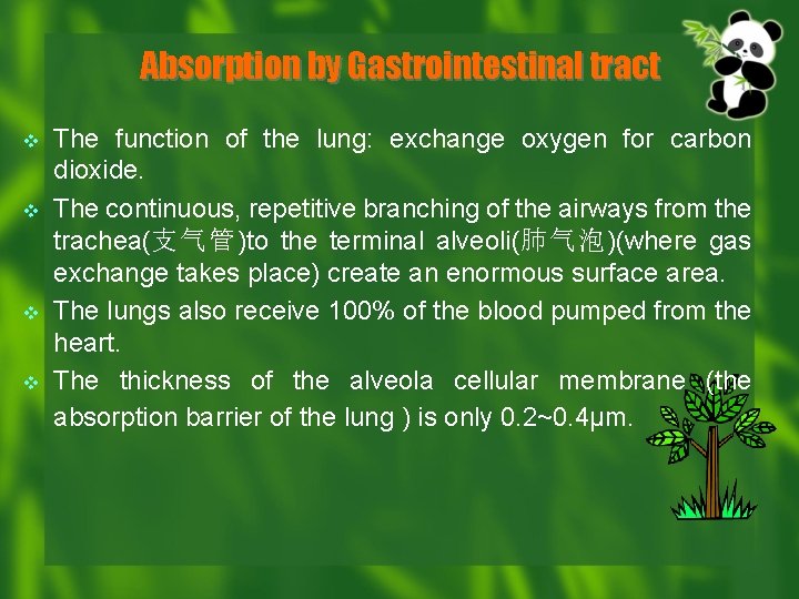 Absorption by Gastrointestinal tract v v The function of the lung: exchange oxygen for