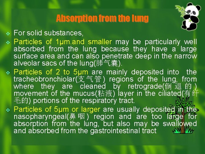 Absorption from the lung v v For solid substances, Particles of 1μm. and smaller