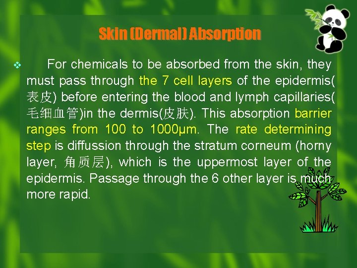 Skin (Dermal) Absorption v For chemicals to be absorbed from the skin, they must