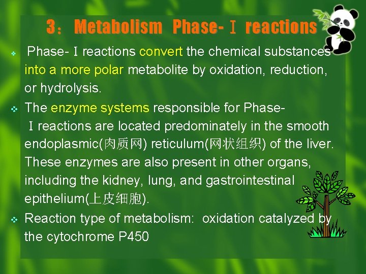 3：Metabolism Phase-Ⅰ reactions v v v Phase-Ⅰreactions convert the chemical substances into a more