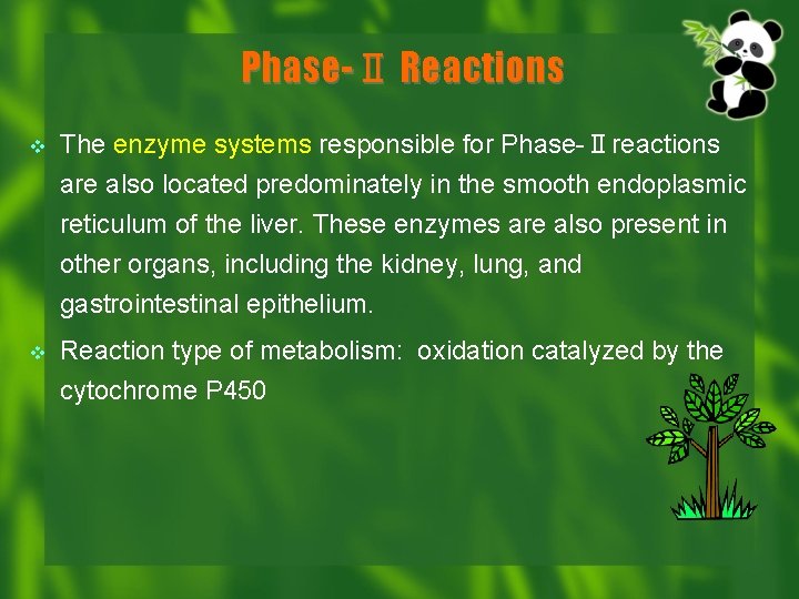 Phase-Ⅱ Reactions v The enzyme systems responsible for Phase-Ⅱreactions are also located predominately in