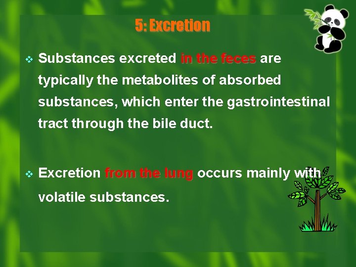 5: Excretion v Substances excreted in the feces are typically the metabolites of absorbed