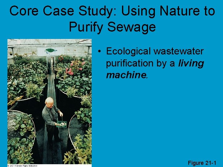 Core Case Study: Using Nature to Purify Sewage • Ecological wastewater purification by a