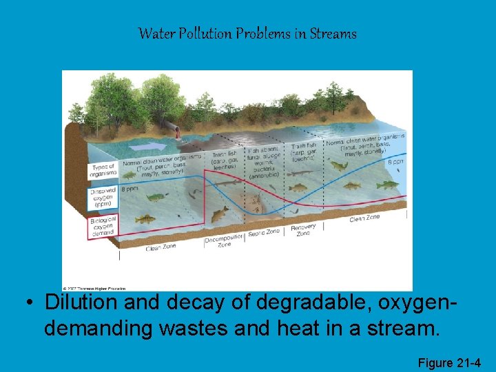 Water Pollution Problems in Streams • Dilution and decay of degradable, oxygendemanding wastes and