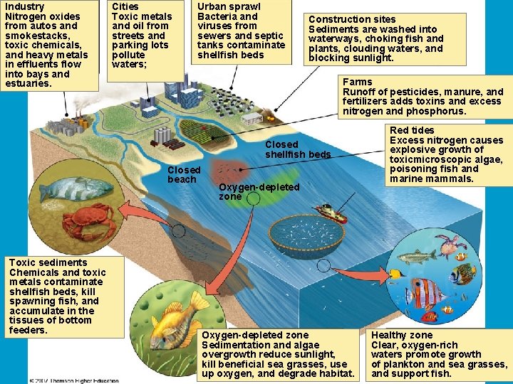 Industry Nitrogen oxides from autos and smokestacks, toxic chemicals, and heavy metals in effluents