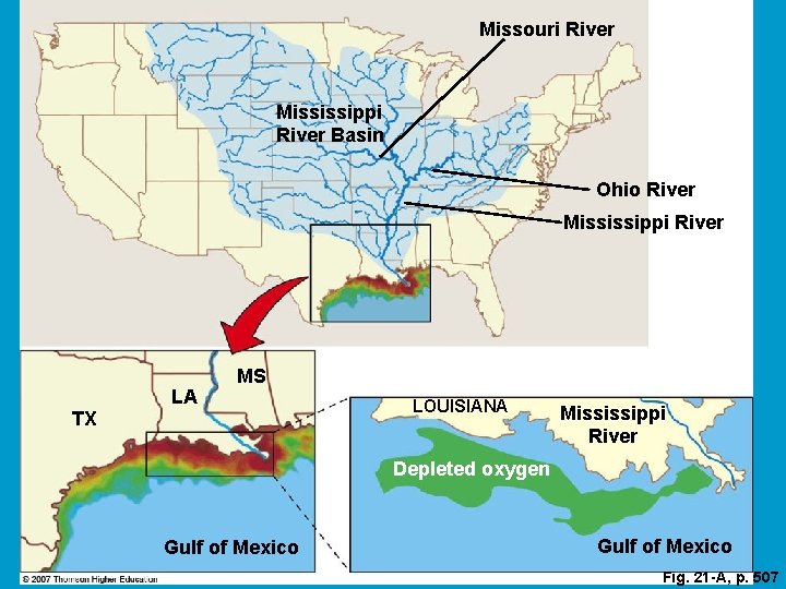 Missouri River Mississippi River Basin Ohio River Mississippi River LA MS TX LOUISIANA Mississippi