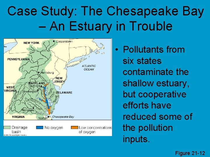 Case Study: The Chesapeake Bay – An Estuary in Trouble • Pollutants from six