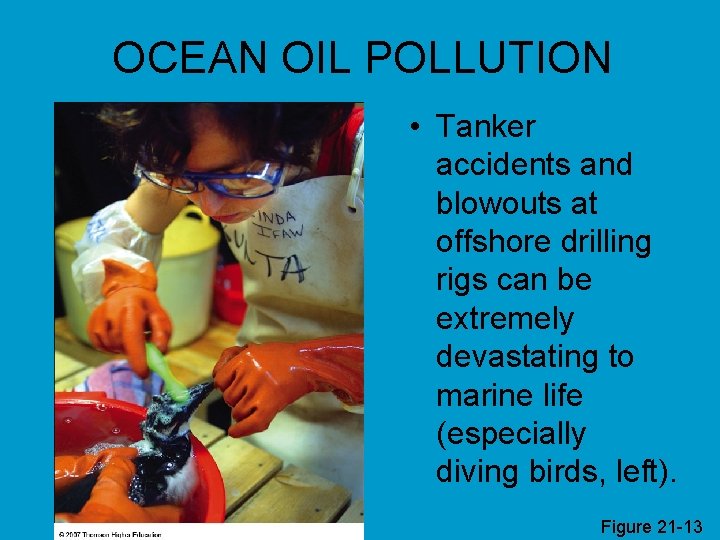 OCEAN OIL POLLUTION • Tanker accidents and blowouts at offshore drilling rigs can be