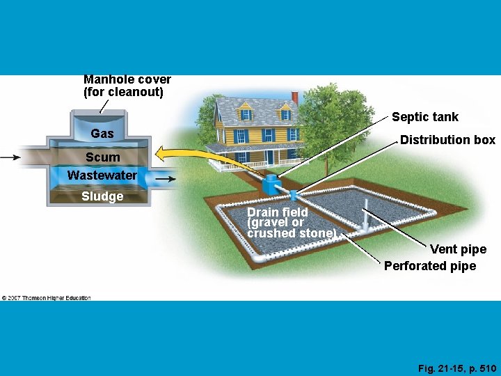 Manhole cover (for cleanout) Septic tank Gas Distribution box Scum Wastewater Sludge Drain field