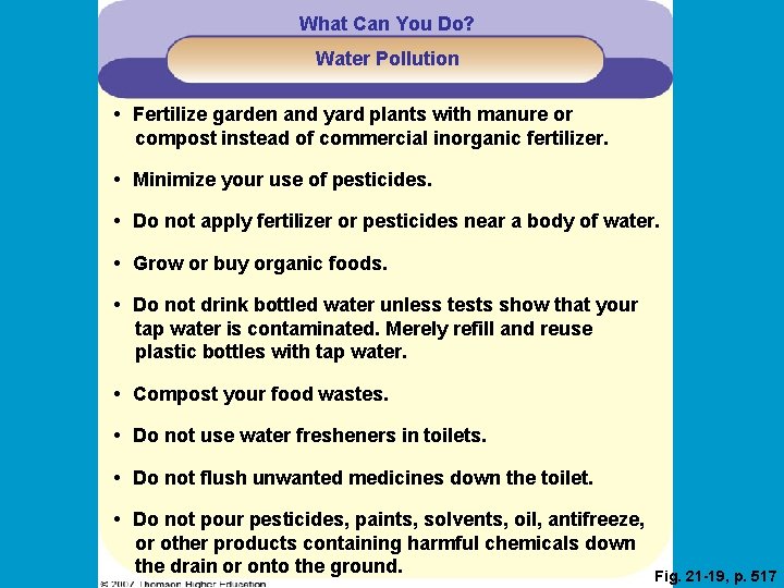 What Can You Do? Water Pollution • Fertilize garden and yard plants with manure