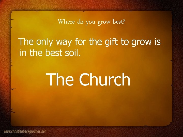 Where do you grow best? The only way for the gift to grow is