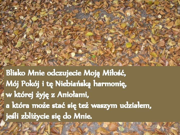 Blisko Mnie odczujecie Moją Miłość, Mój Pokój i tę Niebiańską harmonię, w której żyję