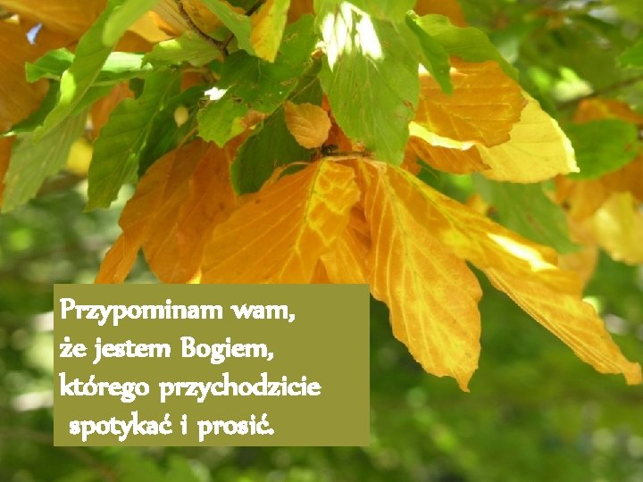 Przypominam wam, że jestem Bogiem, którego przychodzicie spotykać i prosić. 