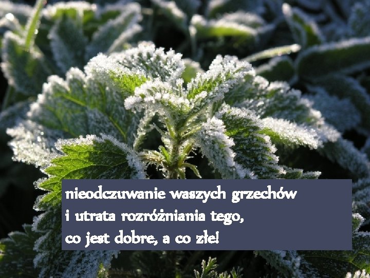 nieodczuwanie waszych grzechów i utrata rozróżniania tego, co jest dobre, a co złe! 
