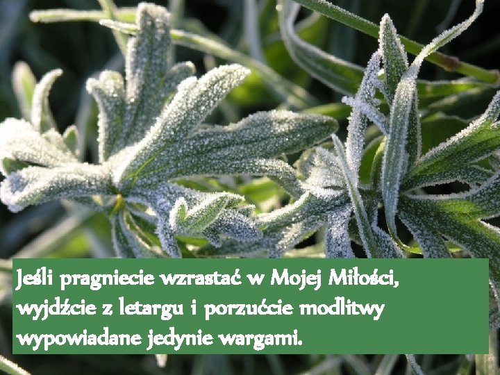 Jeśli pragniecie wzrastać w Mojej Miłości, wyjdźcie z letargu i porzućcie modlitwy wypowiadane jedynie