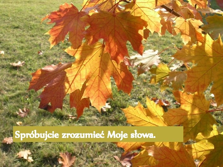 Spróbujcie zrozumieć Moje słowa. 