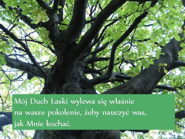 Mój Duch Łaski wylewa się właśnie na wasze pokolenie, żeby nauczyć was, jak Mnie
