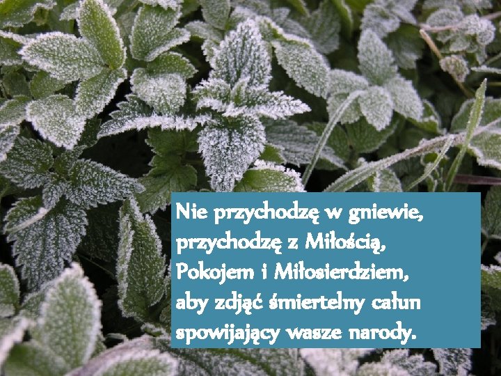 Nie przychodzę w gniewie, przychodzę z Miłością, Pokojem i Miłosierdziem, aby zdjąć śmiertelny całun