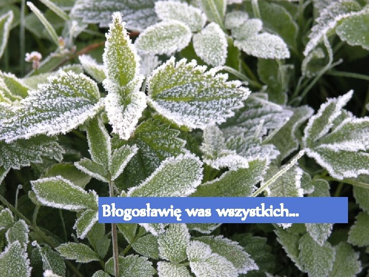 Błogosławię was wszystkich. . . 