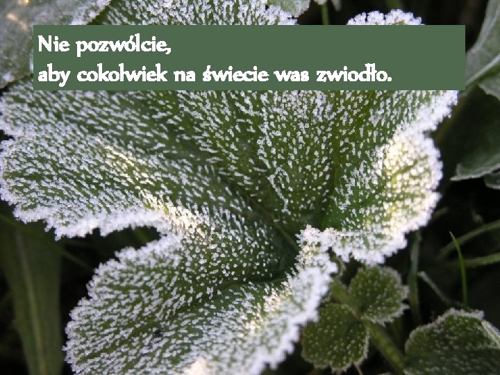 Nie pozwólcie, aby cokolwiek na świecie was zwiodło. 