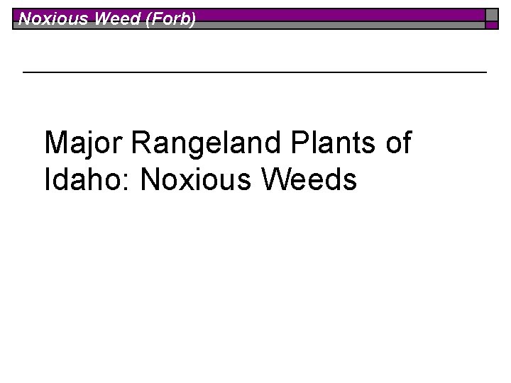 Noxious Weed (Forb) Major Rangeland Plants of Idaho: Noxious Weeds 