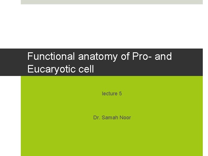 Functional anatomy of Pro- and Eucaryotic cell lecture 5 Dr. Samah Noor 